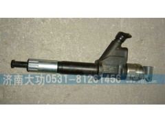 VG1096080010,噴油器總成,濟(jì)南大功汽車(chē)配件有限公司