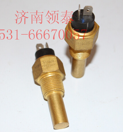 612600090087,水溫傳感器,濟(jì)南領(lǐng)泰（原玉華）汽車零部件有限公司
