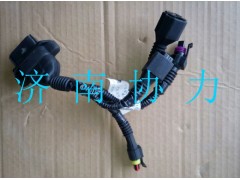 VG1034121021,泵體內(nèi)線束,濟南明鉅汽車配件有限公司（原濟南協(xié)力）