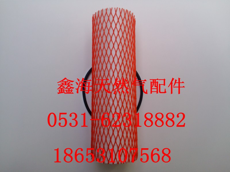 612600190646,天然氣 低壓濾芯,濟(jì)南鑫海天然氣配件有限公司