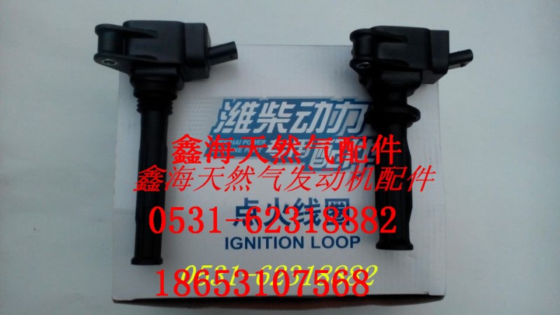 612600190686,進(jìn)口點火線圈,濟南鑫海天然氣配件有限公司