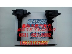 612600190686,進(jìn)口點火線圈,濟南鑫海天然氣配件有限公司