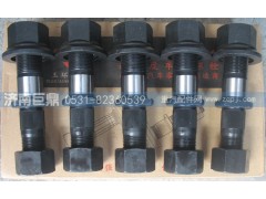 19912340123-雙頭,玉環(huán)航強(qiáng)富華橋柳特王加長(zhǎng)滾花后輪胎螺絲,濟(jì)南鑫巨鼎汽車配件有限公司