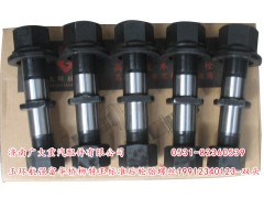 19912340123-雙頭,玉環(huán)航強(qiáng)富華橋柳特王標(biāo)準(zhǔn)后輪胎螺絲,濟(jì)南鑫巨鼎汽車配件有限公司