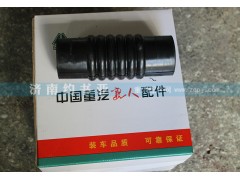DZ9118530005,水箱下水管德龍F2000,濟南約書亞汽車配件有限公司（原華魯信業(yè)）
