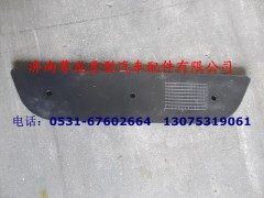 DZ93259932161,保險杠防滑板,濟南尊龍(原天盛)陜汽配件銷售有限公司