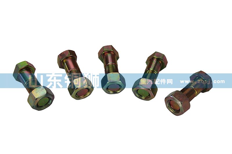 99000310049,傳動軸螺栓及帽,山東銅獅汽車零部件有限公司