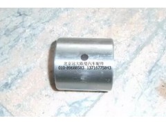 30Z01-01019,轉(zhuǎn)向節(jié)襯套（上）,北京遠(yuǎn)大歐曼汽車配件有限公司