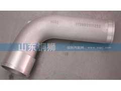 612600113258,,山東銅獅汽車(chē)零部件有限公司
