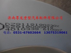 DZ9118190230X,空濾器芯,濟(jì)南尊龍(原天盛)陜汽配件銷售有限公司