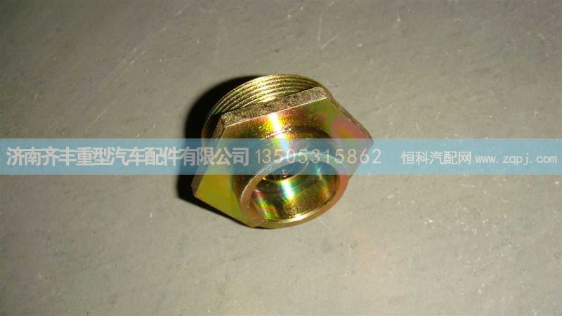 WG9100443008,手調(diào)座豪沃碟剎圖號(hào),濟(jì)南鐵鹿汽車(chē)零部件有限公司