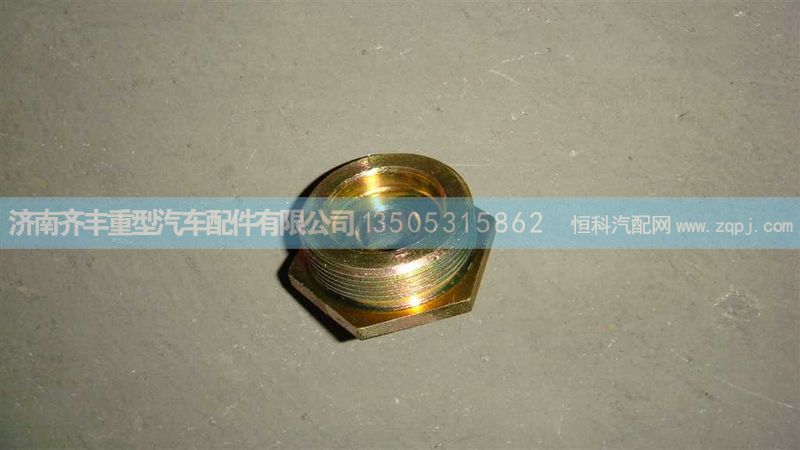 WG9100443008,手調(diào)座豪沃碟剎圖號(hào),濟(jì)南鐵鹿汽車(chē)零部件有限公司