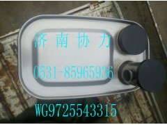 WG9725543315,MC07國(guó)Ⅳ消聲器,濟(jì)南明鉅汽車配件有限公司（原濟(jì)南協(xié)力）