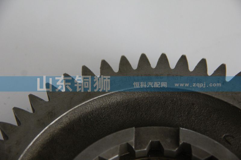 齒輪JS160T-1701112B/JS160T-1701112B