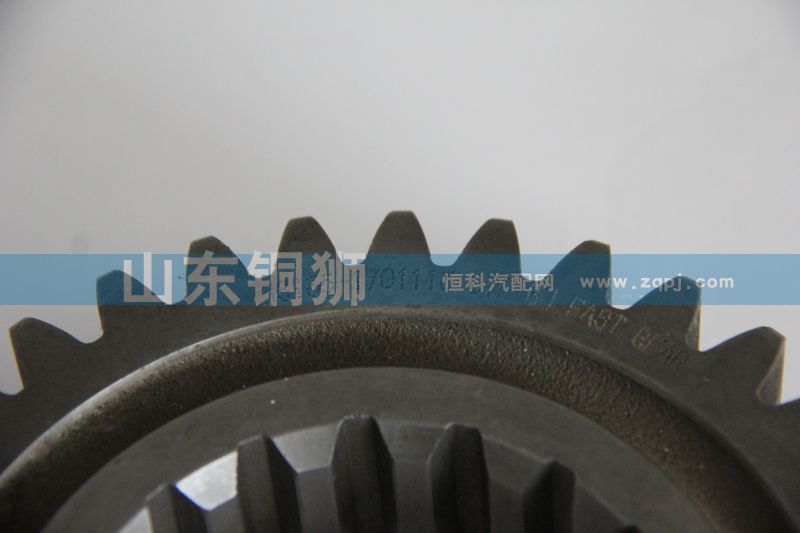 JS135-1701113,二軸三檔齒輪,山東銅獅汽車(chē)零部件有限公司