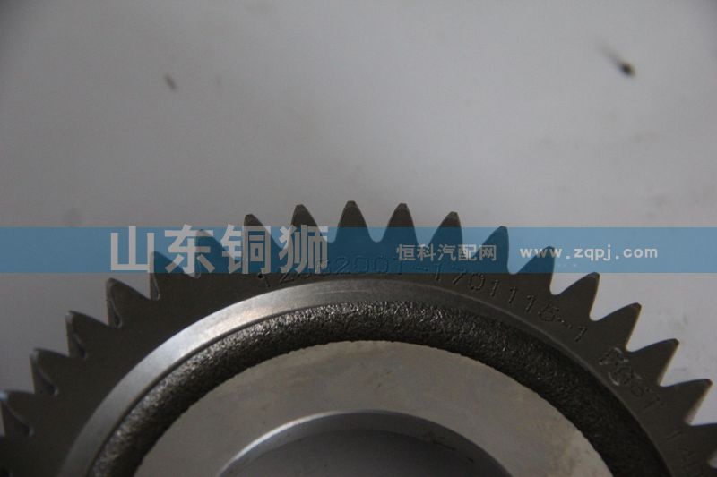 12JS200T-1701115-1,二軸五檔齒輪,山東銅獅汽車(chē)零部件有限公司