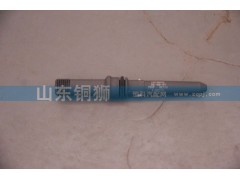 612630090004,高壓油管接頭,山東銅獅汽車零部件有限公司