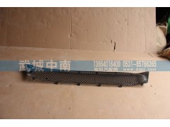 WG1664242009,保險杠裝飾網(wǎng)I（上部用的）T7,濟南武城重型車外飾件廠