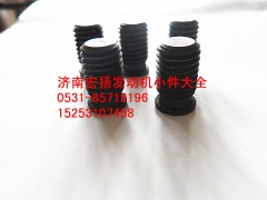 612600012189,缸體副螺栓絲堵,濟(jì)南耀順汽車配件有限公司（重汽、濰柴發(fā)動機(jī)小件專賣）