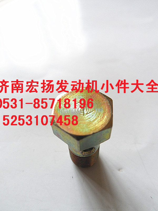 M10放氣管空心螺栓  VG1246050022/VG1246050022