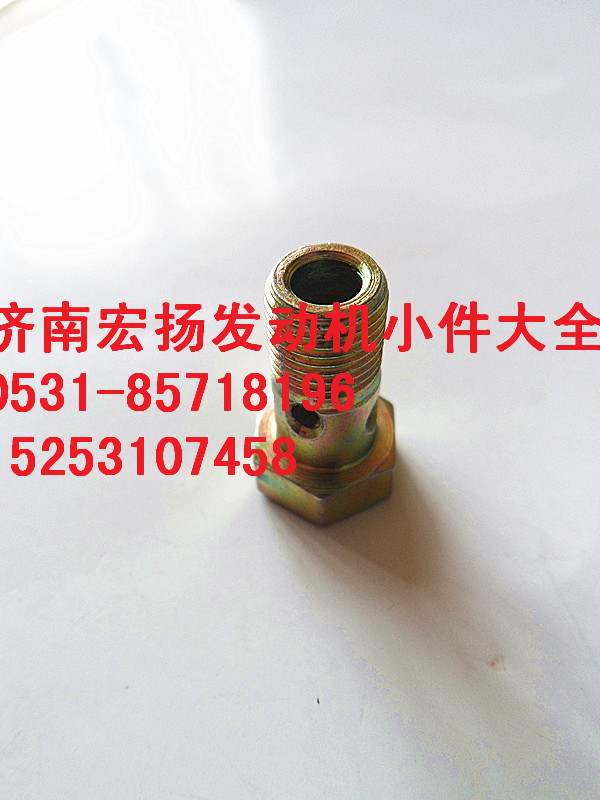 M10放氣管空心螺栓  VG1246050022/VG1246050022