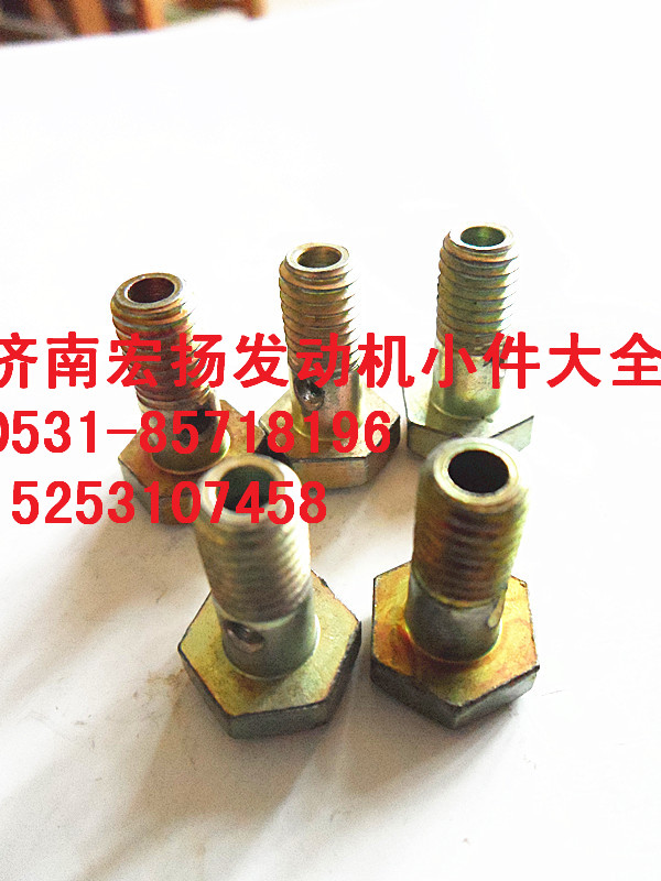 M8D12噴油器空心螺栓  VG1246080077/VG1246080077