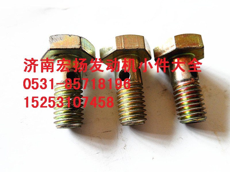 M8D12噴油器空心螺栓  VG1246080077/VG1246080077