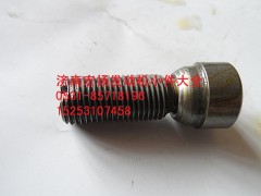 612600050038,EVB氣門調(diào)整螺栓,濟(jì)南耀順汽車配件有限公司（重汽、濰柴發(fā)動(dòng)機(jī)小件專賣）