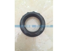 710W90685-0311,角齒螺母新式,濟南信達(dá)重汽配件有限公司