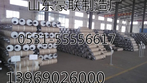 199112410058,豪沃平衡軸總成一體式平衡軸總成，斷開式平衡軸總成,山東豪聯(lián)車身制造廠