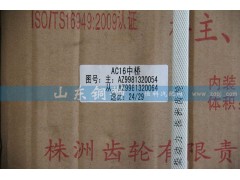 AZ9981320054,株齒AC16中橋 主、從動圓錐齒輪,山東銅獅汽車零部件有限公司