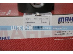 612600030034,馬勒濰柴10升歐三發(fā)動(dòng)機(jī)活塞,山東銅獅汽車零部件有限公司