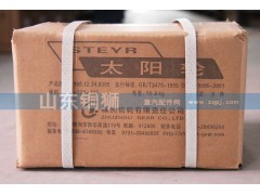 990.12.34.005,太陽輪,山東銅獅汽車零部件有限公司