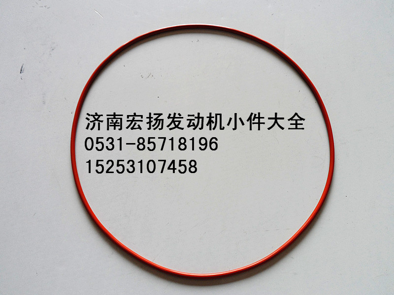 612630030044,WP12噴油泵密封圈,濟(jì)南耀順汽車配件有限公司（重汽、濰柴發(fā)動(dòng)機(jī)小件專賣）