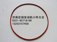 612630030044,WP12噴油泵密封圈,濟(jì)南耀順汽車配件有限公司（重汽、濰柴發(fā)動(dòng)機(jī)小件專賣）