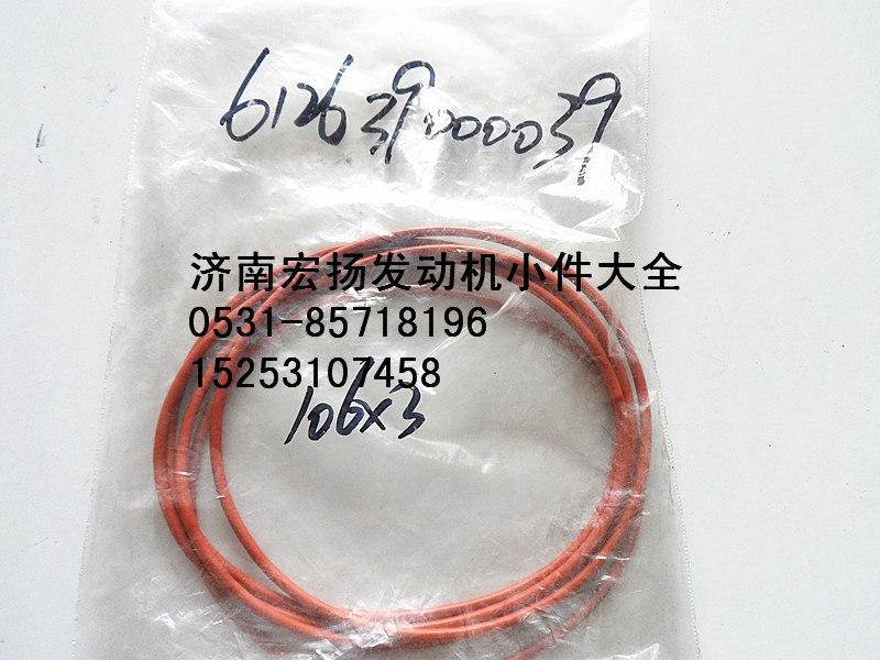 WP12空壓機(jī)密封圈  612639000039/612639000039