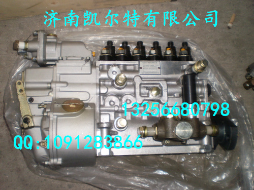 VG1560080021,國(guó)產(chǎn)高壓噴油泵,濟(jì)南凱爾特商貿(mào)有限公司