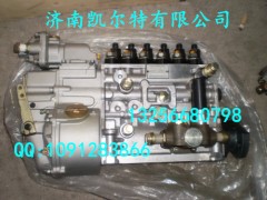 VG1560080021,國(guó)產(chǎn)高壓噴油泵,濟(jì)南凱爾特商貿(mào)有限公司
