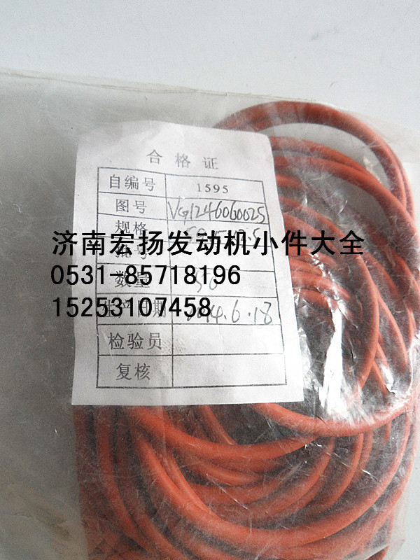 VG1246060025,D12節(jié)溫器密封圈,濟(jì)南耀順汽車(chē)配件有限公司（重汽、濰柴發(fā)動(dòng)機(jī)小件專(zhuān)賣(mài)）