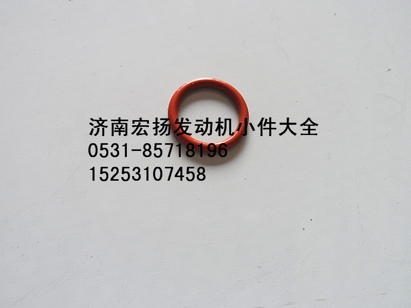 612639000019,WP12機(jī)油泵密封圈,濟(jì)南耀順汽車配件有限公司（重汽、濰柴發(fā)動(dòng)機(jī)小件專賣）