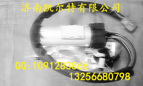 WG9130583019,鑰匙起動開關,濟南凱爾特商貿(mào)有限公司