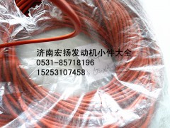 612630030022,WP12后取力密封圈,濟(jì)南耀順汽車(chē)配件有限公司（重汽、濰柴發(fā)動(dòng)機(jī)小件專(zhuān)賣(mài)）