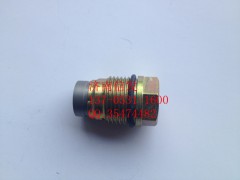 1110010015,共軌管泄壓閥,濟(jì)南信發(fā)汽車配件有限公司