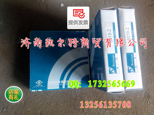 供應(yīng)汽車配件軸承批發(fā)6019Z軸承/6019Z軸承