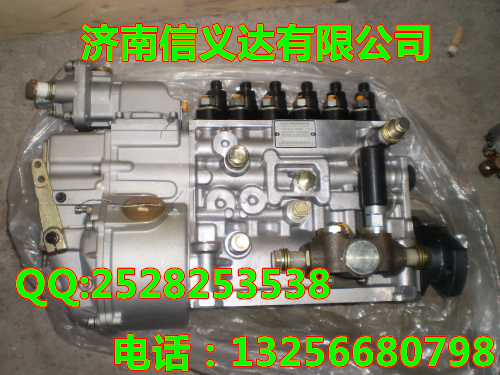 VG1560080021,國產(chǎn)高壓噴油泵帶K型調(diào)速器,濟南凱爾特商貿(mào)有限公司