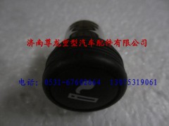 81.28901.0017,陜汽德龍點煙器,濟(jì)南尊龍(原天盛)陜汽配件銷售有限公司