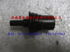 81.25505.0989,陜汽德龍F(tuán)3000門燈開(kāi)關(guān),濟(jì)南尊龍(原天盛)陜汽配件銷售有限公司