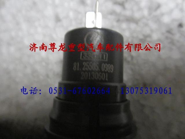 81.25505.0989,陜汽德龍F(tuán)3000門燈開(kāi)關(guān),濟(jì)南尊龍(原天盛)陜汽配件銷售有限公司