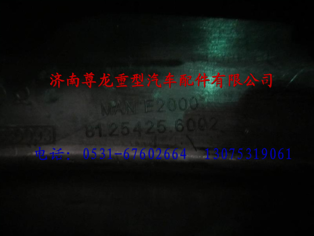 81.25425.6002,陜汽德龍F(tuán)2000線束保護(hù)罩,濟(jì)南尊龍(原天盛)陜汽配件銷售有限公司