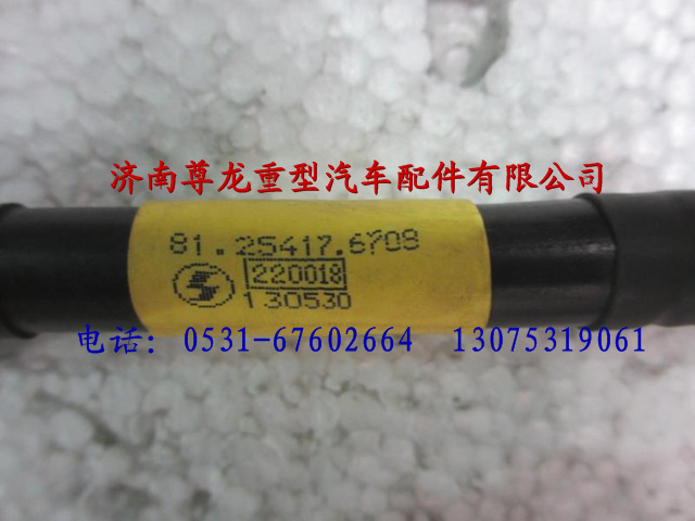 81.25417.6708,陜汽德龍蓄電池連接線,濟南尊龍(原天盛)陜汽配件銷售有限公司